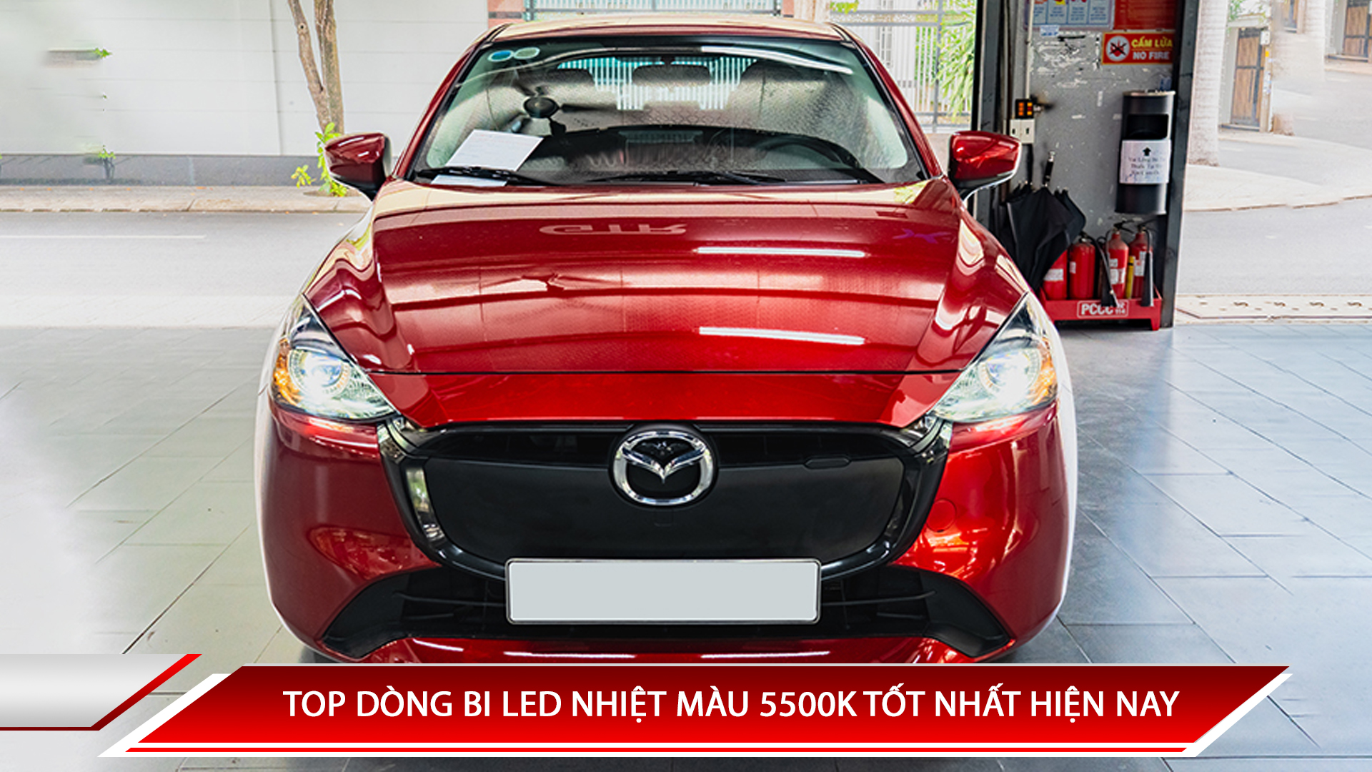 TOP DÒNG ĐÈN BI LED NHIỆT MÀU 5500K TỐT NHẤT HIỆN NAY